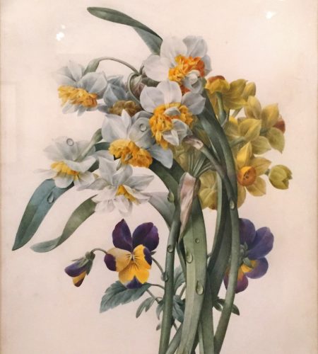Pierre Joseph Redouté bouquet de fleurs 1816 Aquarelle sur vélin Exposition Redouté